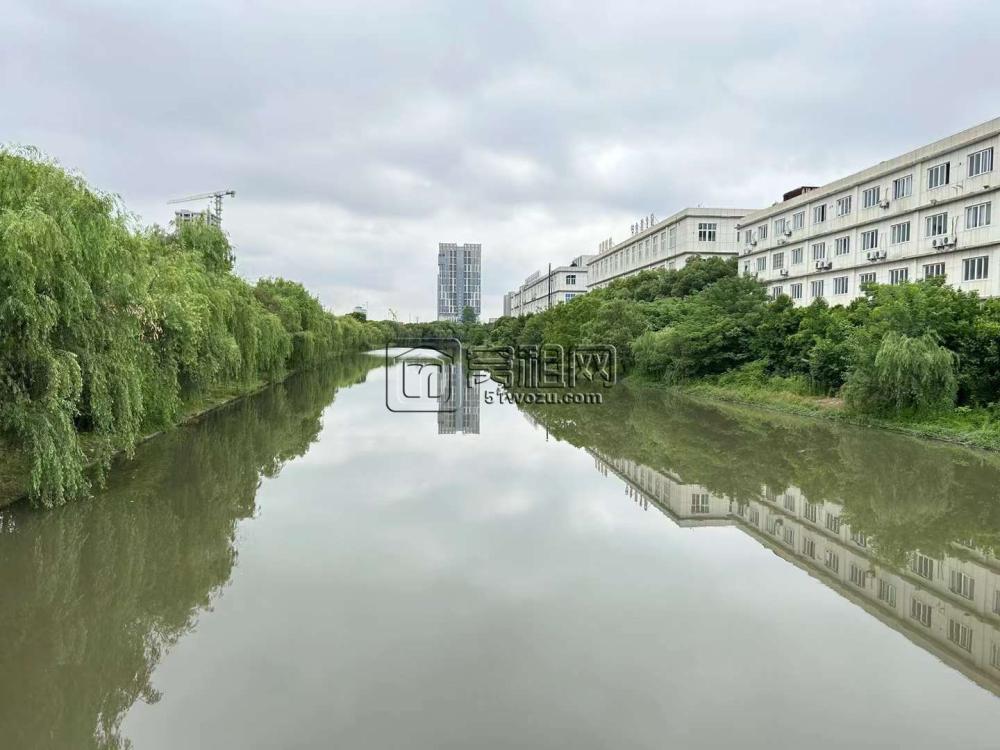 华业科技园新空出100平 大通间 朝东 靠河 视野无遮挡